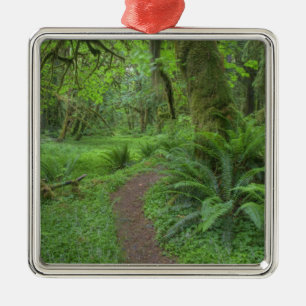 USA, Washington, Olympic-Nationalpark, Silbernes Ornament
