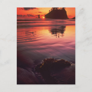 USA, Washington, Olympic-Nationalpark. Sonnenunter Postkarte
