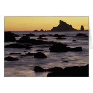USA, Washington, Olympic Nat'l Park, Meeresstapel