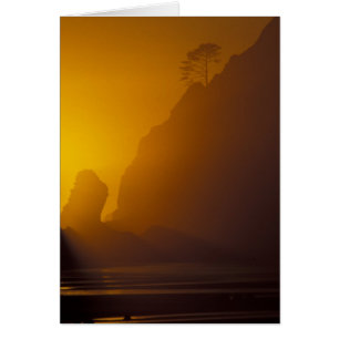 USA, Washington, Olympic Nat'l Park, Sonnenunterga