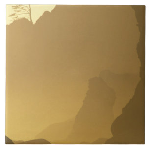 USA, Washington, Olympic Nat'l Park, Sunset, Fliese