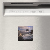 USA, Washington, Olympic NP, Magnet (In Situ (Geschirrspüler))