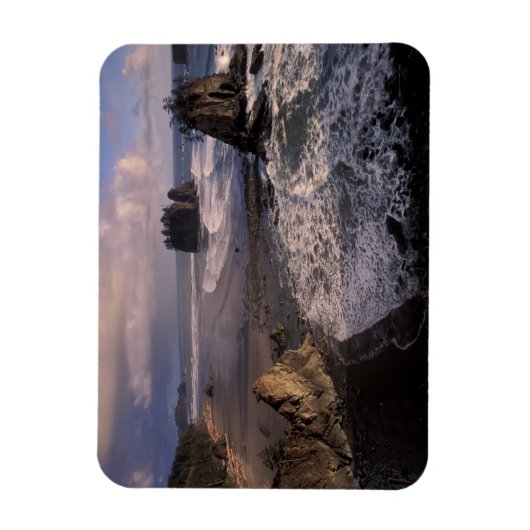 USA, Washington, Olympic NP, Magnet (Vertikal)