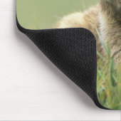 USA, Washington, Olympic NP, Olympic Marmot Mousepad (Ecke)