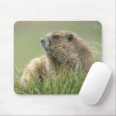 USA, Washington, Olympic NP, Olympic Marmot Mousepad (Mit Mouse)