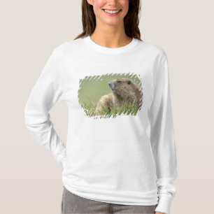 USA, Washington, Olympic NP, Olympic Murmeltier T-Shirt