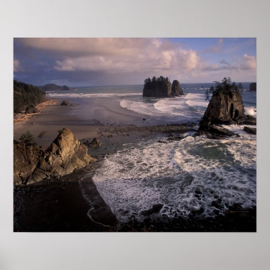 USA, Washington, Olympic NP, Poster (Vorne)