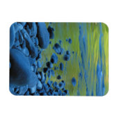 USA, Washington, Olympischer Nationalpark 4 Magnet (Horizontal)