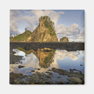 USA, Washington, Olympischer Nationalpark. A Magnet