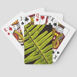 USA, Washington, Olympischer Nationalpark, Backlit Spielkarten