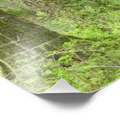 USA, Washington, Olympischer Nationalpark, Frühjah Fotodruck (Ecke)