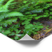 USA, Washington, Olympischer Nationalpark, Hoh Poster (Ecke)