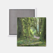 USA, Washington, Olympischer Nationalpark, Hoh Rai Magnet (Vorderseite/Rückseite)