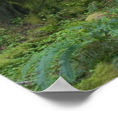 USA, Washington, Olympischer Nationalpark, Hoh Rai Poster (Ecke)