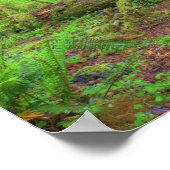 USA, Washington, Olympischer Nationalpark, Hoh Rai Poster (Ecke)