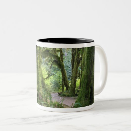 USA, Washington, olympischer Nationalpark, Hoh Zweifarbige Tasse (VorderseiteRechts)