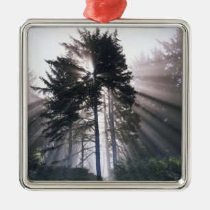 USA, Washington, Olympischer Nationalpark, Morning Ornament Aus Metall