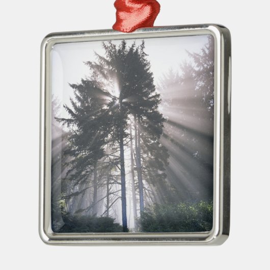 USA, Washington, Olympischer Nationalpark, Morning Ornament Aus Metall (Links)