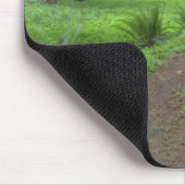 USA, Washington, Olympischer Nationalpark, Mousepad (Ecke)