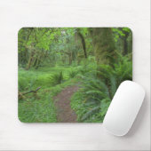 USA, Washington, Olympischer Nationalpark, Mousepad (Mit Mouse)