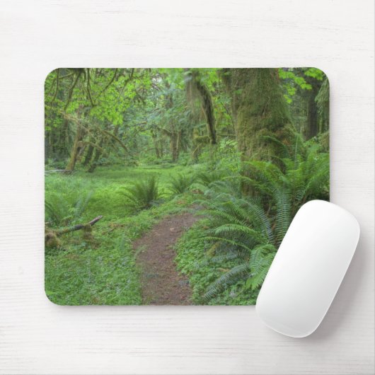 USA, Washington, Olympischer Nationalpark, Mousepad (Mit Mouse)