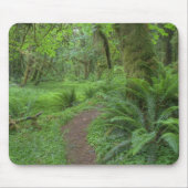 USA, Washington, Olympischer Nationalpark, Mousepad (Vorne)