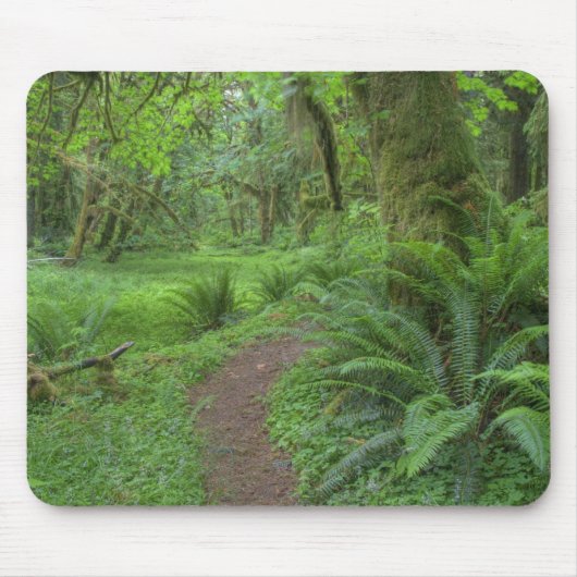 USA, Washington, Olympischer Nationalpark, Mousepad (Vorne)