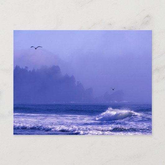 USA, Washington, Olympischer Nationalpark. Nebel Postkarte (Vorderseite)