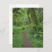 USA, Washington, Olympischer Nationalpark, Postkarte (Vorne/Hinten)