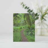 USA, Washington, Olympischer Nationalpark, Postkarte (Stehend Vorderseite)