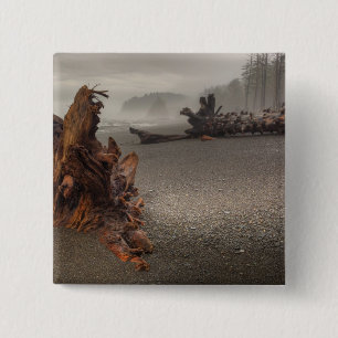 USA, Washington, Olympischer Nationalpark, Rialto Button