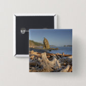 USA, Washington, Olympischer Nationalpark, Rialto Button (Vorne & Hinten)