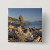 USA, Washington, Olympischer Nationalpark, Rialto Button (Vorderseite)