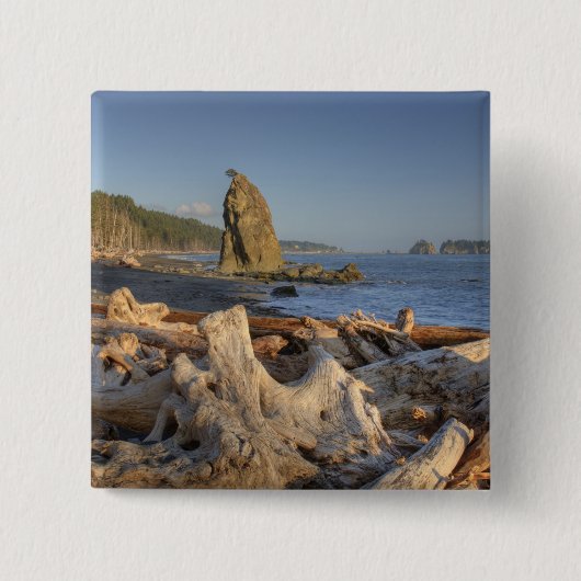 USA, Washington, Olympischer Nationalpark, Rialto Button (Vorderseite)
