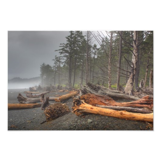 USA, Washington, Olympischer Nationalpark, Rialto Fotodruck (Vorne)