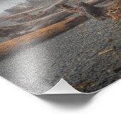 USA, Washington, Olympischer Nationalpark, Rialto Fotodruck (Ecke)