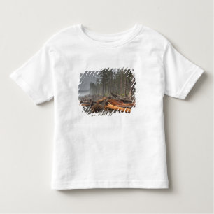 USA, Washington, Olympischer Nationalpark, Rialto Kleinkind T-shirt