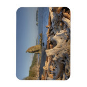 USA, Washington, Olympischer Nationalpark, Rialto Magnet (Vertikal)