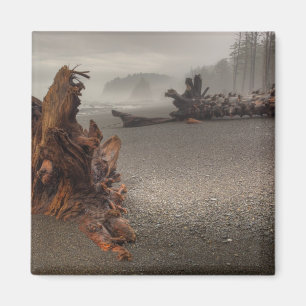 USA, Washington, Olympischer Nationalpark, Rialto  Magnet