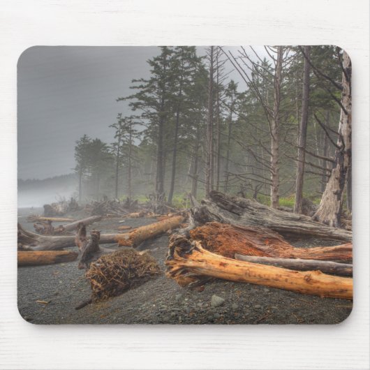 USA, Washington, Olympischer Nationalpark, Rialto Mousepad (Vorne)