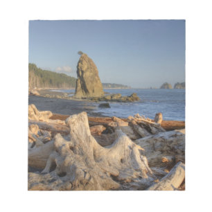 USA, Washington, Olympischer Nationalpark, Rialto Notizblock