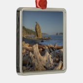 USA, Washington, Olympischer Nationalpark, Rialto Ornament Aus Metall (Rechts)