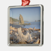 USA, Washington, Olympischer Nationalpark, Rialto Ornament Aus Metall (Links)