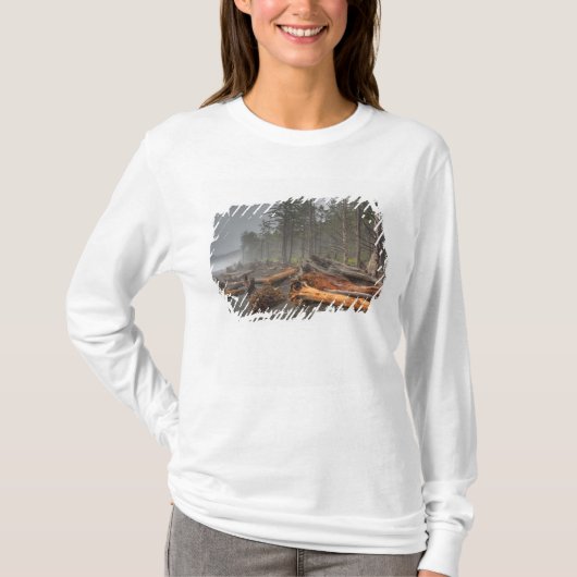 USA, Washington, Olympischer Nationalpark, Rialto T-Shirt (Vorderseite)