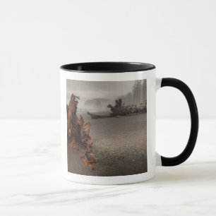 USA, Washington, Olympischer Nationalpark, Rialto Tasse