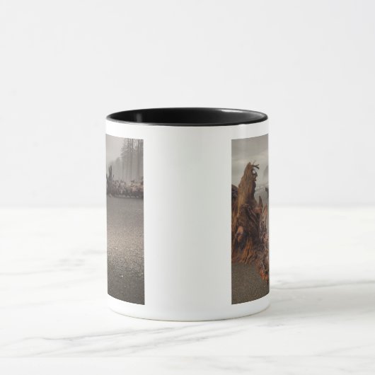 USA, Washington, Olympischer Nationalpark, Rialto Tasse (Zentrum)