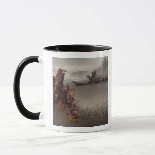 USA, Washington, Olympischer Nationalpark, Rialto Tasse (Links)