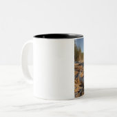 USA, Washington, Olympischer Nationalpark, Rialto Zweifarbige Tasse (Vorderseite Links)