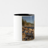 USA, Washington, Olympischer Nationalpark, Rialto Zweifarbige Tasse (Mittel)