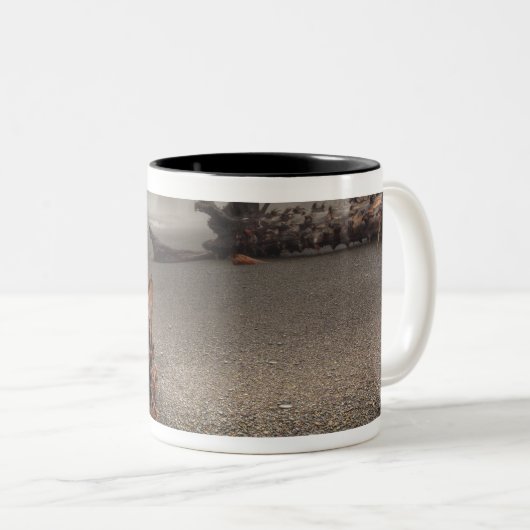 USA, Washington, Olympischer Nationalpark, Rialto Zweifarbige Tasse (VorderseiteRechts)